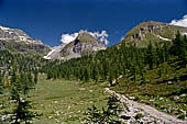 Alpe Veglia - Lungo il percorso scendendo dal Lago del Bianco. 